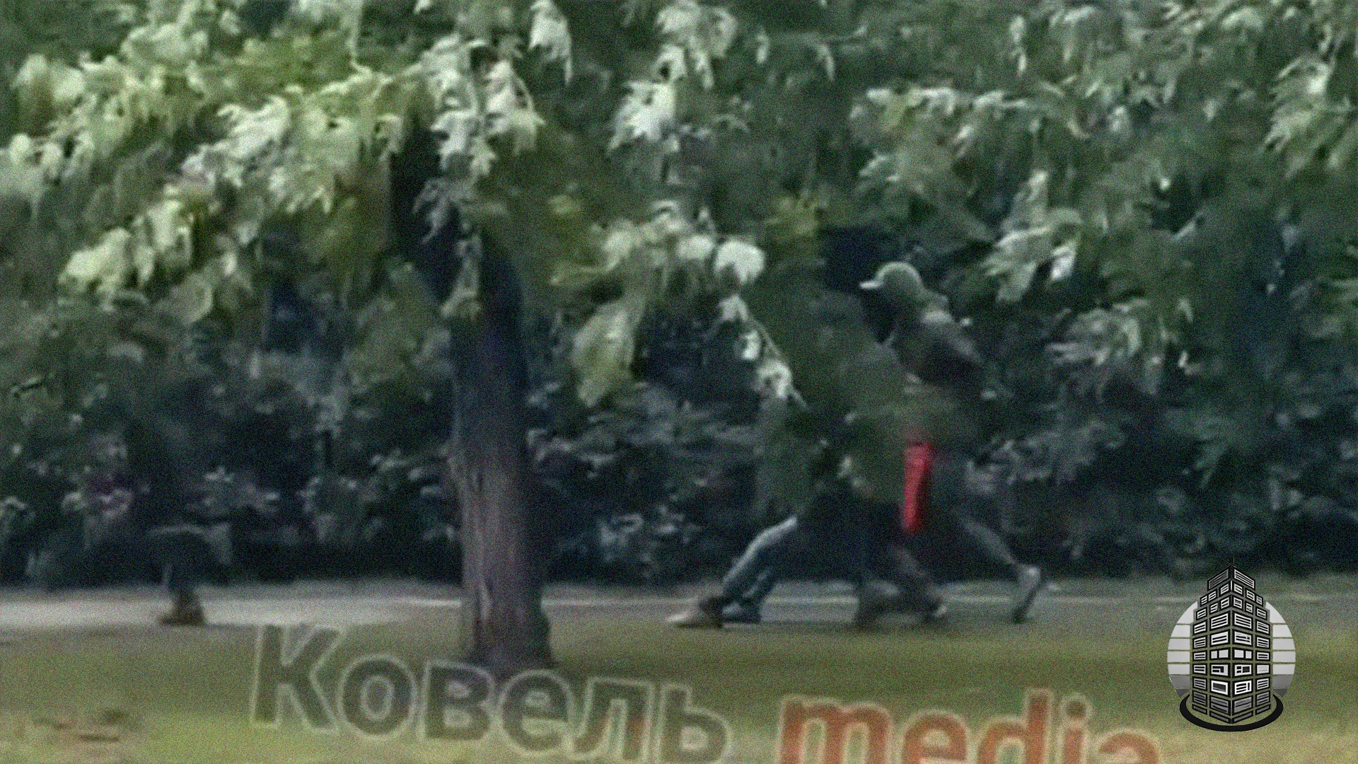У Ковелі ТЦКшники тягнули чоловіка по асфальту та заштовхали в мікроавтобус — усе потрапило на відео
