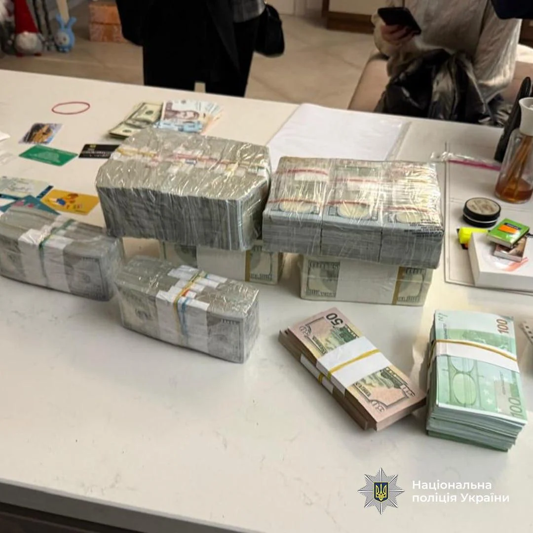 У Дніпрі затримали начальницю екоінспекції: понад мільйон доларів готівкою та підозра у незаконному збагаченні
