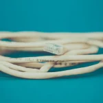 Згорнутий кабель Ethernet із роз’ємом RJ-45 на бірюзовому тлі.